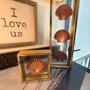Elegant Gold and Brown Seashell Display Set